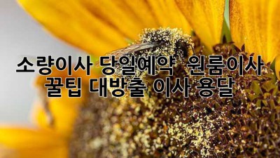 소량이사 당일예약 🚀 원룸이사 꿀팁 대방출! #이사 #용달